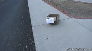 Casey Calvert & Whitney Wright Star in Big Black Cock v387 A-1