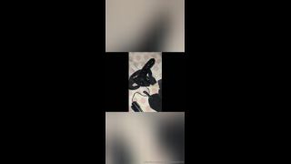 The Dysnie Princess - goddessesspade34 () Goddessesspade - guide to be a cuck step embrace 10-05-2019-7