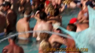 Coccozella-SiteRIP 0410-grandhunter-dantes09-1-7