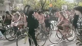 Coccozella-SiteRIP 0398-LG-wnbr2010-4-7