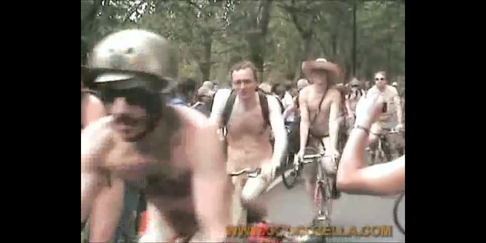 Coccozella-SiteRIP 0398-LG-wnbr2010-4