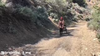 online porn clip 16 Pony Cart Walk - blonde - fetish porn blonde maid sex-1