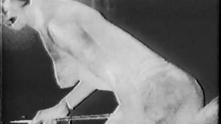 The Operation Jacob Pander Productions.-6