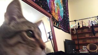 xxx video 4 soft femdom LusciousxLuci – doggystyle mirror dildo fuck – long hair, jerkoff instructions on pov-6