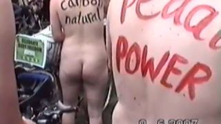 Coccozella-SiteRIP 0113-lg-wnbr-2007-2-3
