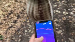 [K2S.CLUB] LeMaSnuSnu - Spaziergang mit Dildo in der Pussy eskaliert - Im Wald gefickt und in... - FullHD 1080P-5