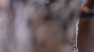 xxx video 22 small penis femdom Empress Jennifer – Cum and Be Mine, joi video on fetish porn-8