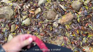 Sweetie Fox 2025 Guide Sucks Poison FullHD 1080P-1
