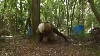 [SuperMisses.com] THZ-94 Super Heroine in Grave Danger!! Vol.94 -Ryuujin Violet-003-5