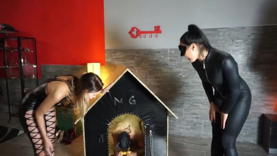 Dog Castration Sex Clip Video Porn Download Mp4