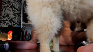 porn clip 40 krissy lynn fisting Siswet19 in Epic Size Hulk Bad Dragon Dildo Fully Fuck In Teens Ass, masturbation on toys-2