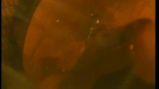 Heather Tristany Shay Sights and Wanda Curtis Lesbian Sex Toy Action Latex!-2