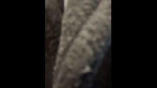 Serena Hill, Serena  Milf PrincessCum - Serena Hill December 2025 Flavor Of The Month-5