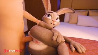 [GetFreeDays.com] Judy Hopps Anal Loop Porn Clip October 2022-7