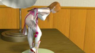 3D 9632 Dead or Alive Kasumi-7