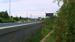 Crazy couple has sex at auro track with terrific blowjob and e....-0