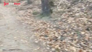 Porno Vlog Chihuahua. Typowy Dzie Pary Z Polski-5