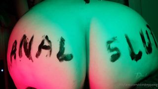 donkeypawg dp00027-3