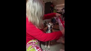 Daniella Schiffer Horny Threesome 2  Skinny Daniella Schiffer-3