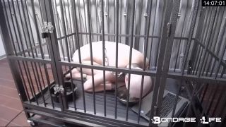 online xxx video 1 cfnm fetish fetish porn | (02.26.2018) Greyhound Lunch (Laptop Edition) | fetish-5