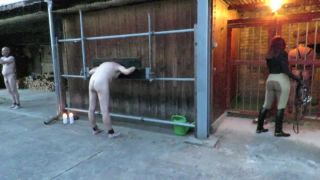 Danish Femdom  Sulky Ride  Games - Alex Zothberg Bdsm - graphis - amateur porn amateur girl blowjob-2