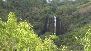 Sativa Verte Hawaiian Virtual Vacation 2 (POV)-5