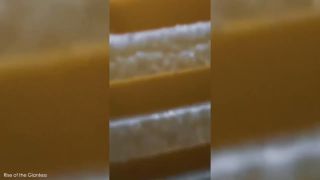 Rise Of The Giantess - Get out of my House (Fetish porn)-7