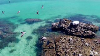 free porn clip 26 [Playboy.TV] Cybergirl Of The Year - Season 1, Episode 2, pornstar hardcore babes on hardcore porn -5