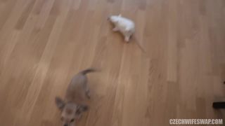 adult video 27 Czech Wife Swap 6 - Part 1, nancy a hardcore on hardcore porn -6