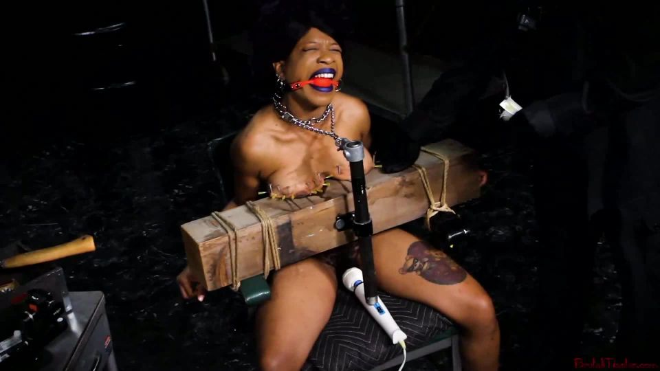 online xxx clip 14 CupcakeSinClairBleedingInTheNewYear on bdsm porn bdsm butt plug