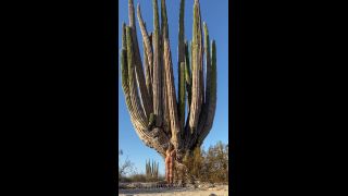 Steph in Space () Stephinspace - somewhere in the middle of the mexican desert lived a free spirited earth fairy she was d 23-10-2020-6