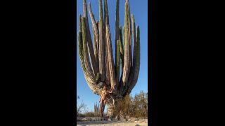 Steph in Space () Stephinspace - somewhere in the middle of the mexican desert lived a free spirited earth fairy she was d 23-10-2020-7