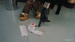 Young Goddess Kim slave Disposal Program (Femdom porn)-6