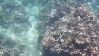 You snorkel and hike with Mi Ha, and make her cum!!!-3