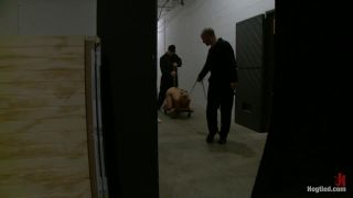 free xxx video 6 Boxed up and carted around... Tara Lynn Fox | bondage | femdom porn xvideos hardcore bdsm-8