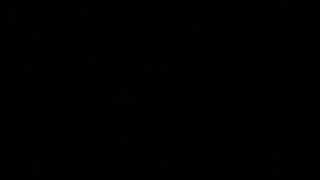 video0030-0