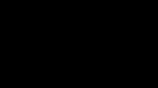 video0030-5