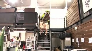 SDMT-867 Scene 2-7