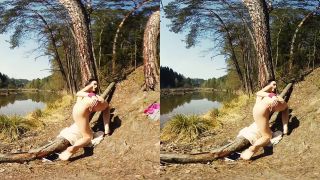 083  Long Leg Evelin Outdoor In Forest Masturbate With Dildo  3DVR180 S-4