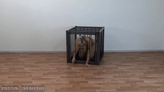 Jenni C - the perfect pet (BDSM porn)-9
