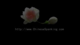 Free Porn Spank Video | [hotspanker.com] spanksfshvculhfaz211-6
