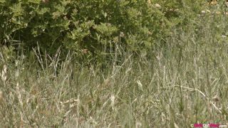 Video Out Bush Part 1 : Eva, Juniper, Juno, Luci, Pixie 1080p FullHD-1