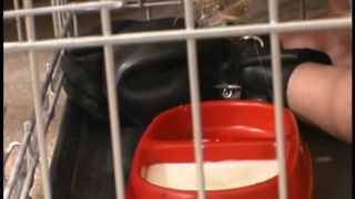 online porn video 16 russian big tits ass Teacher s Pet Scene 3, foot fetish on feet porn-4