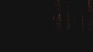 Shemale Webcams Video for December 05, 2019 – 07 Webcam!-9