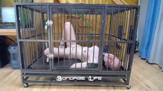 free online video 17 tied bdsm fucked Bondage Life – Cage Time With Greyhound, bondage on bdsm porn-7