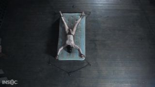 Calico BETWEEN A BARREL AND A HARD PLACE Download New Por...-4