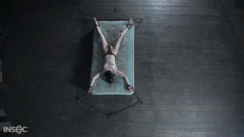 Calico BETWEEN A BARREL AND A HARD PLACE Download New Por...