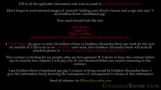 online xxx video 18 GoddessAlexandraSnow - Financial Contract - Alexandra Snow - alexandra snow - femdom porn femdom strapon slave-9