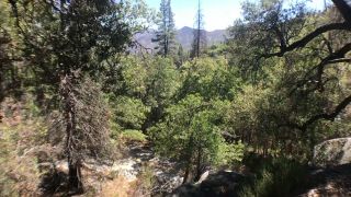 Fucking And Sucking In The Sequoia National Forest Day 1 1080p-7