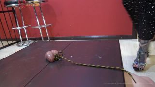 Porn tube [dangerous-girls] Miss Jane and Lady Chantal - Full weight ball and cock stomping-9